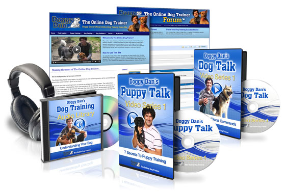 here-s-how-to-become-a-dog-trainer